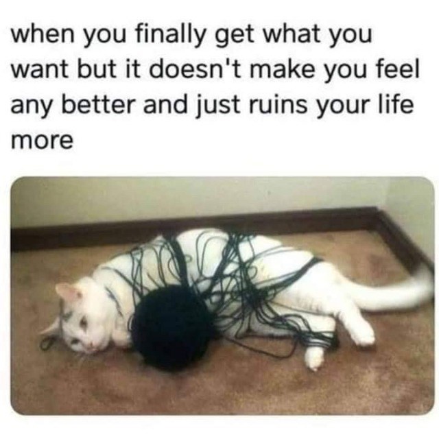 when you finally get what you want but it doesn't make you feel any better and just ruins your life more