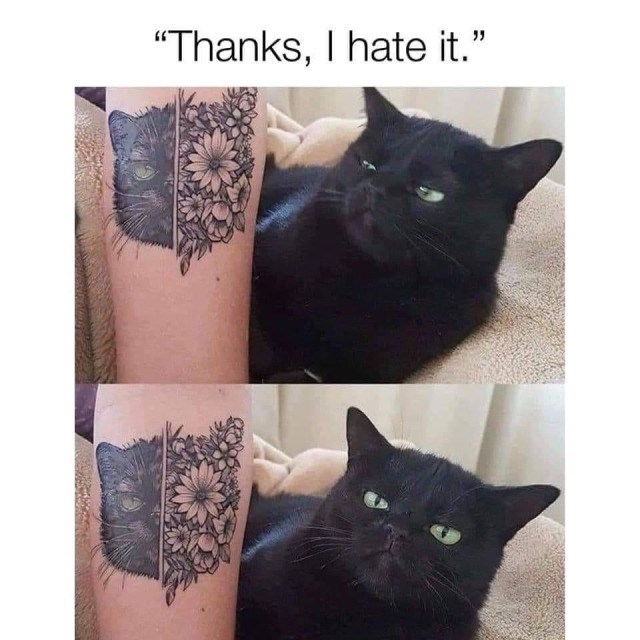 "Thanks, I hate it."