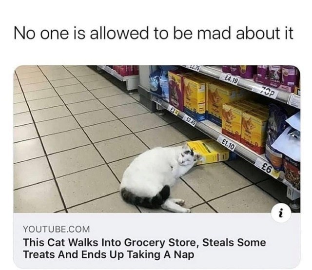 No one is allowed to be mad about it £4.19 70P E2W £2.49 £1.10 £6 YOUTUBE.COM This Cat Walks Into Grocery Store, Steals Some Treats And Ends Up Taking A Nap 2
