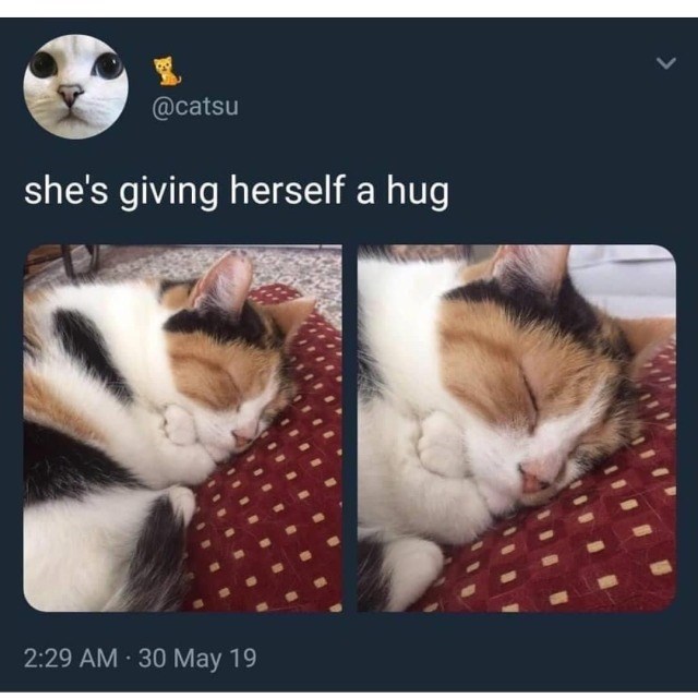 @catsu she's giving herself a hug 2:29 AM 30 May 19