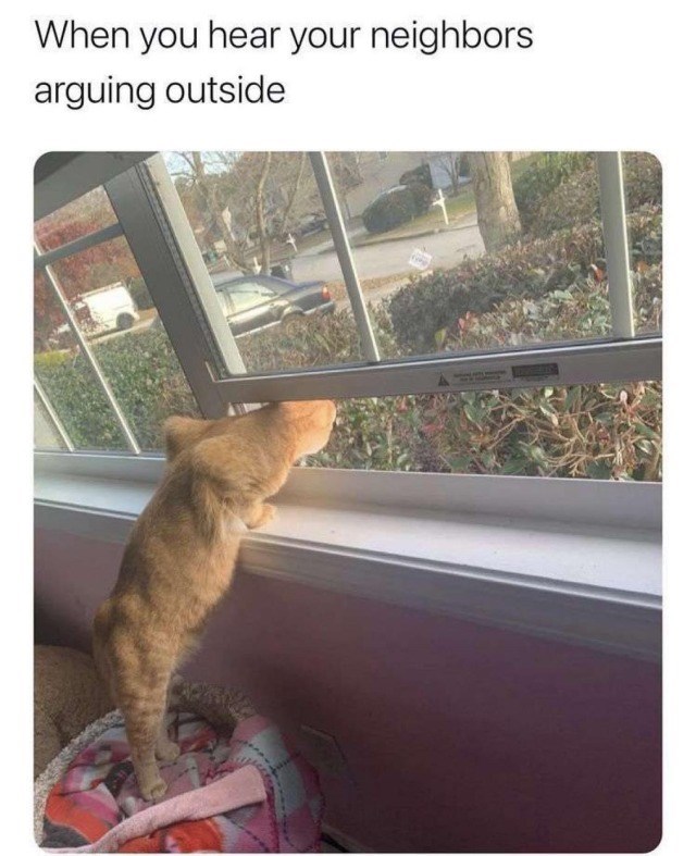When you hear your neighbors arguing outside