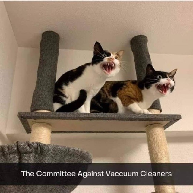 The Committee Against Vaccuum Cleaners