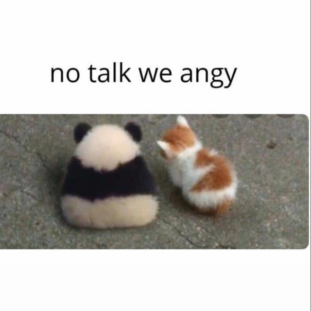 no talk we angy
