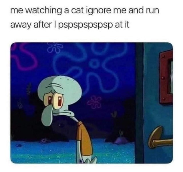 me watching a cat ignore me and run away after I pspspspspsp at it CO