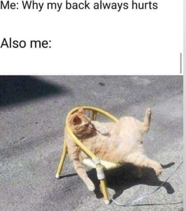 Me: Why my back always hurts Also me: