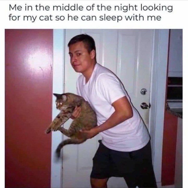 Me in the middle of the night looking for my cat so he can sleep with me