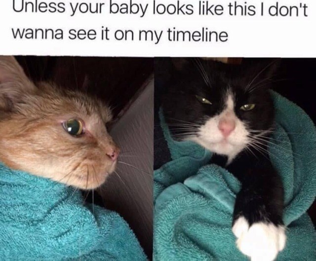Unless your baby looks like this I don't wanna see it on my timeline