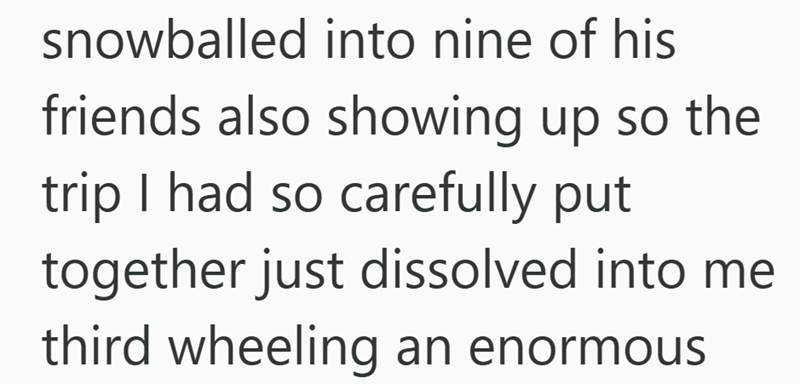 snowballed into nine of his friends also showing up so the trip I had so carefully put together just dissolved into me third wheeling an enormous