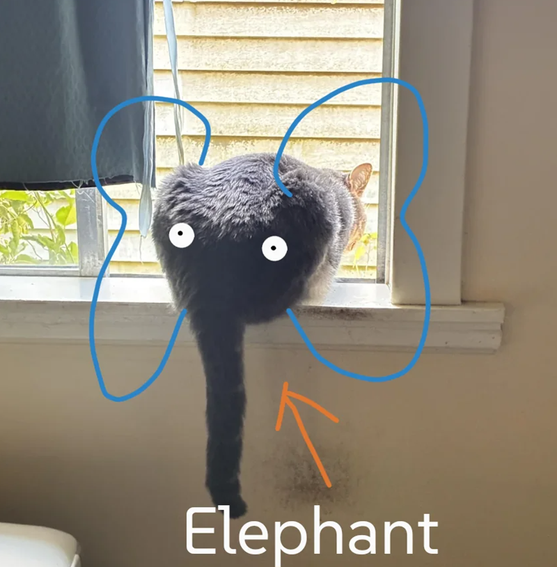 Elephant