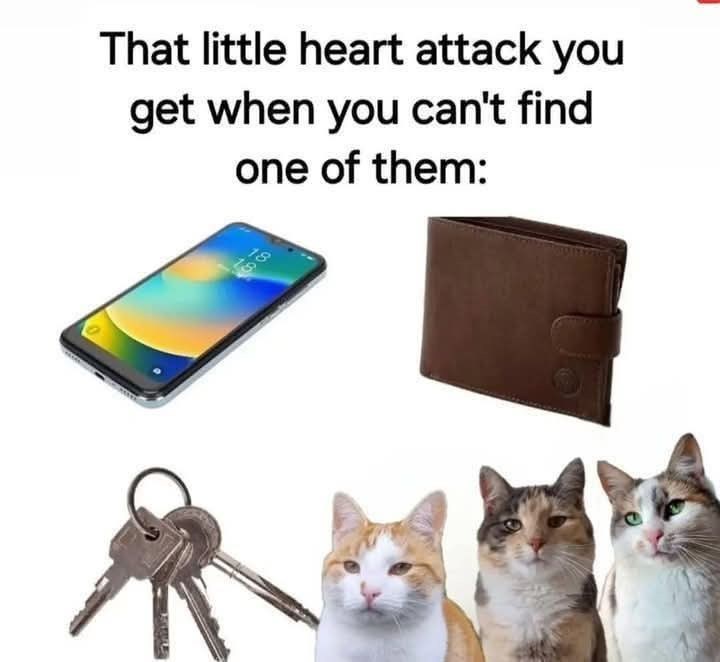 That little heart attack you get when you can't find one of them: 808
