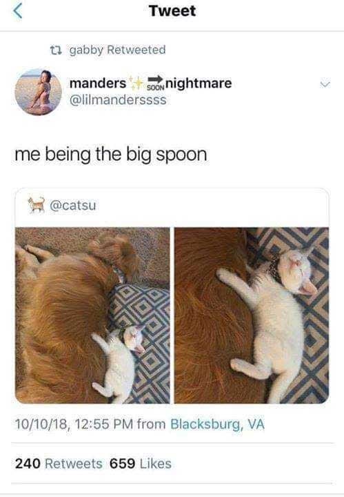 Tweet gabby Retweeted manders SOON nightmare @lilmanderssss me being the big spoon @catsu 10/10/18, 12:55 PM from Blacksburg, VA 240 Retweets 659 Likes