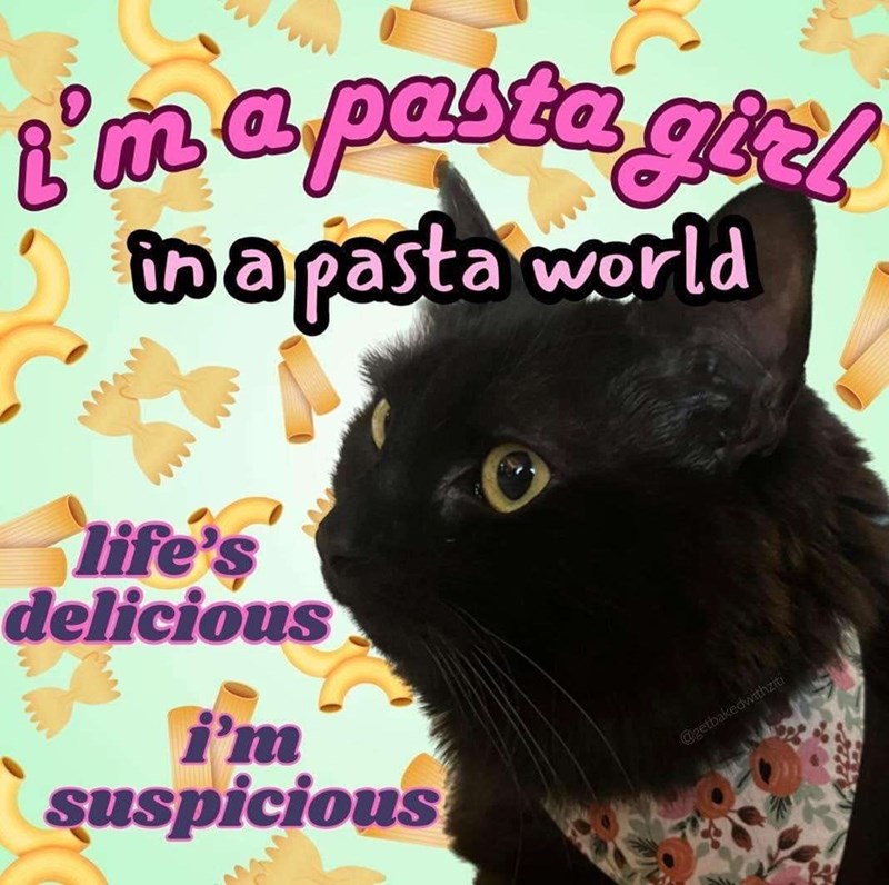 I'm a pasta girl in a pasta world life's delicious www i'm suspicious @getbakedwithziti