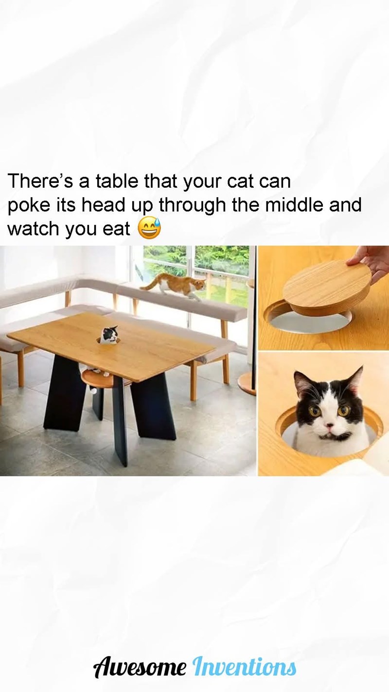 There's a table that your cat can poke its head up through the middle and watch you eat A Awesome Inventions