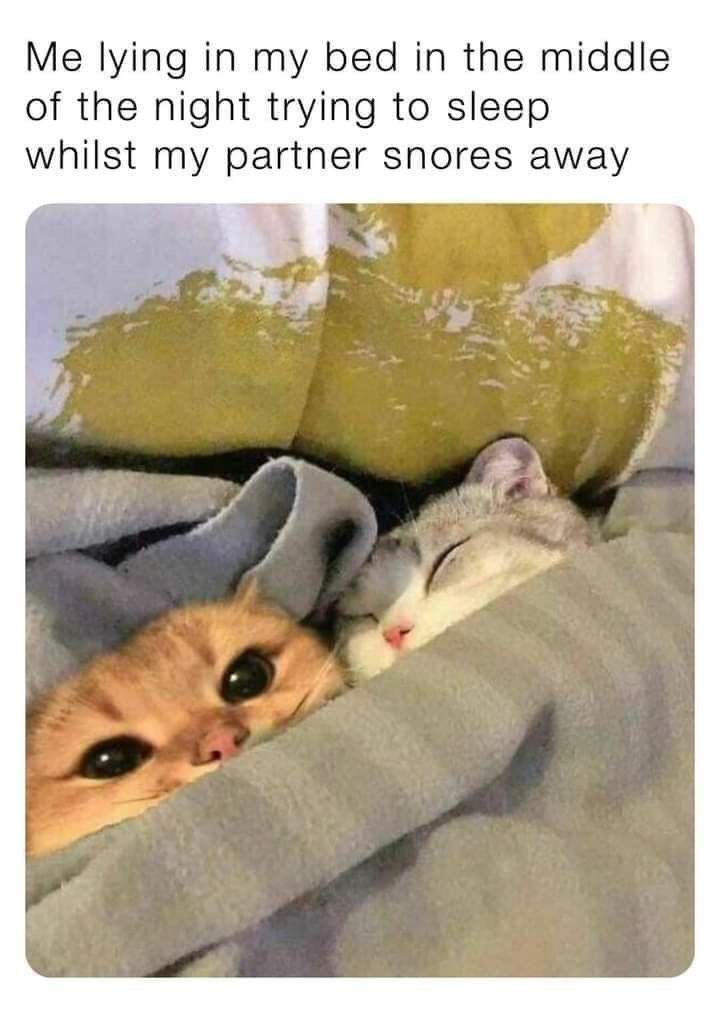 Me lying in my bed in the middle of the night trying to sleep whilst my partner snores away