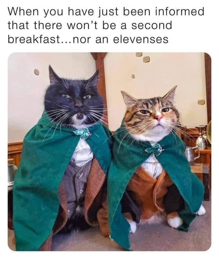 When you have just been informed that there won't be a second breakfast...nor an elevenses
