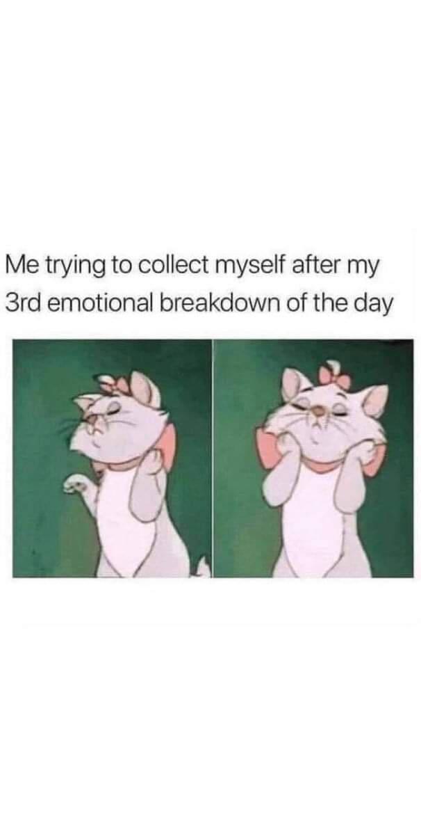 Me trying to collect myself after my 3rd emotional breakdown of the day