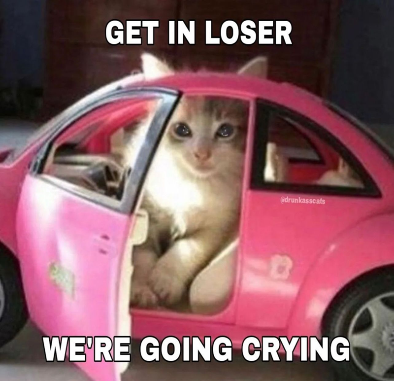 GET IN LOSER @drunkasscats WE'RE GOING CRYING