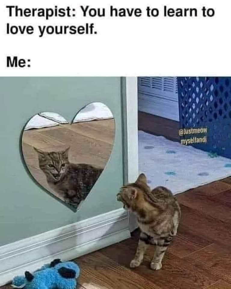 Therapist: You have to learn to love yourself. Me: @justmeow myselfandi