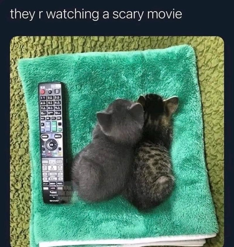 they r watching a scary movie 53 6 KAK Выглядет KHBOTABIL