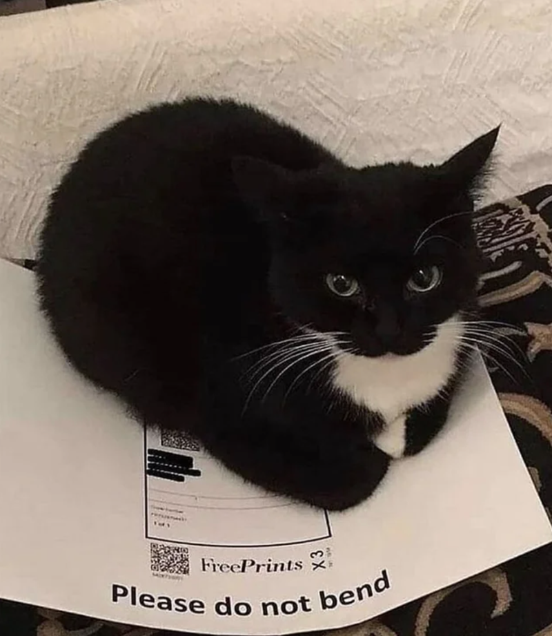 MIXTAR FreePrints Please do not bend