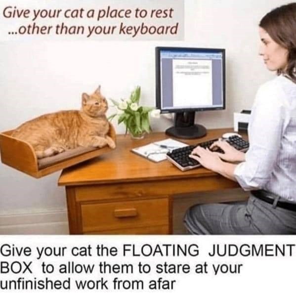 Give your cat a place to rest ...other than your keyboard Give your cat the FLOATING JUDGMENT BOX to allow them to stare at your unfinished work from afar