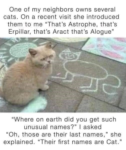 One of my neighbors owns several cats. On a recent visit she introduced them to me "That's Astrophe, that's Erpillar, that's Aract that's Alogue" "Where on earth did you get such unusual names?" I asked "Oh, those are their last names," she explained. "Their first names are Cat."
