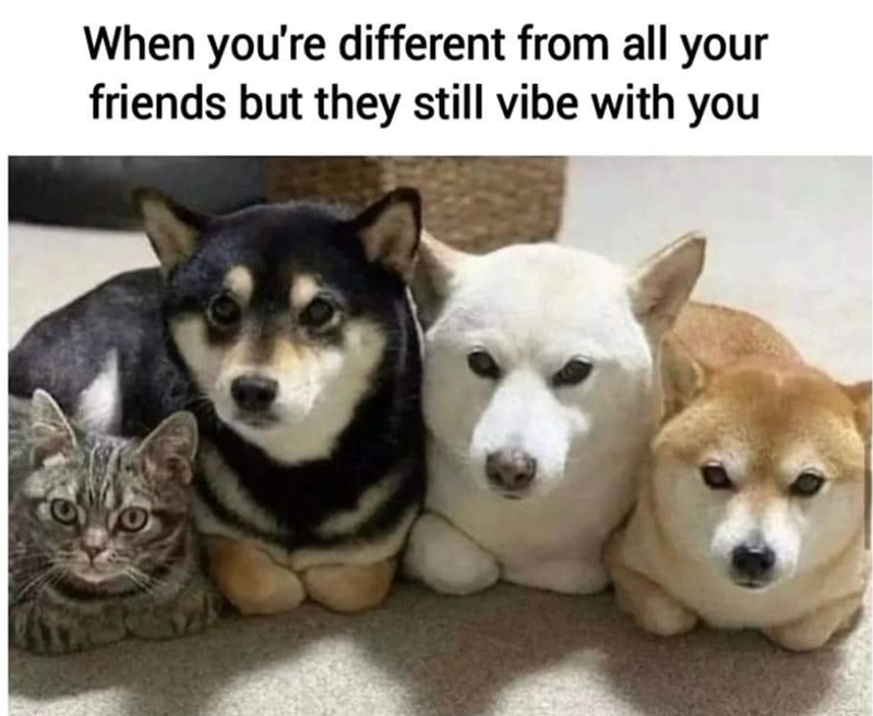 When you're different from all your friends but they still vibe with you
