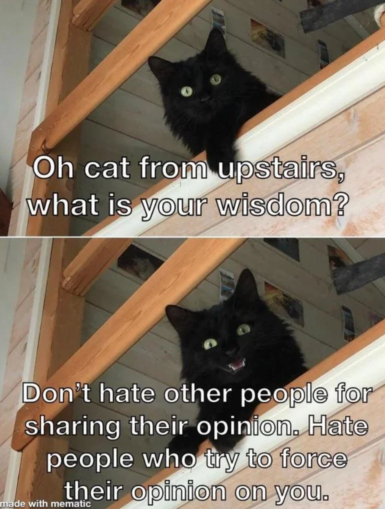 Oh cat from upstairs, what is your wisdom? Don't hate other people for sharing their opinion. Hate people who try to force their opinion on you. made with mematic