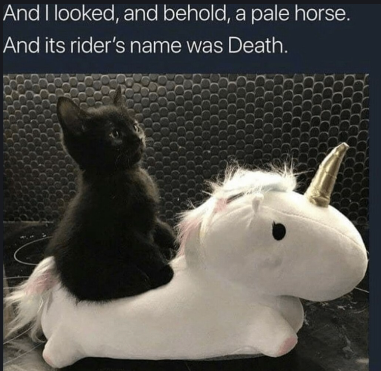 And I looked, and behold, a pale horse. And its rider's name was Death.
