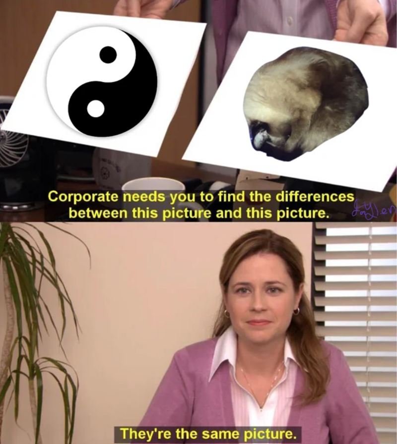 e Corporate needs you to find the differences between this picture and this picture. They're the same picture.