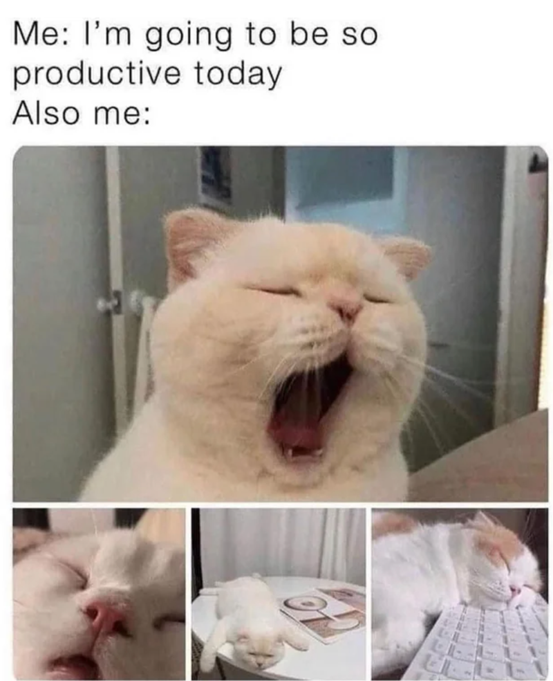 Me: I'm going to be so productive today Also me: