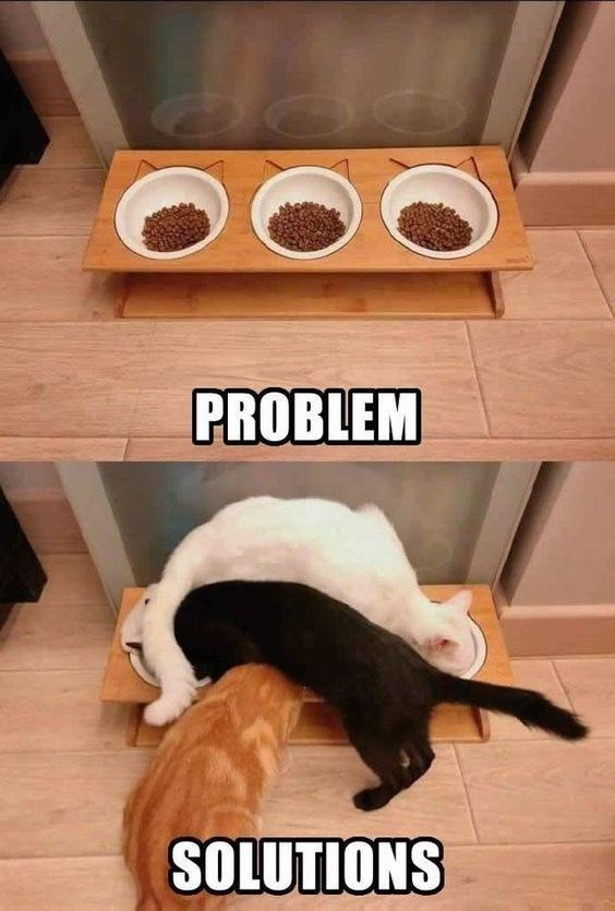 PROBLEM SOLUTIONS
