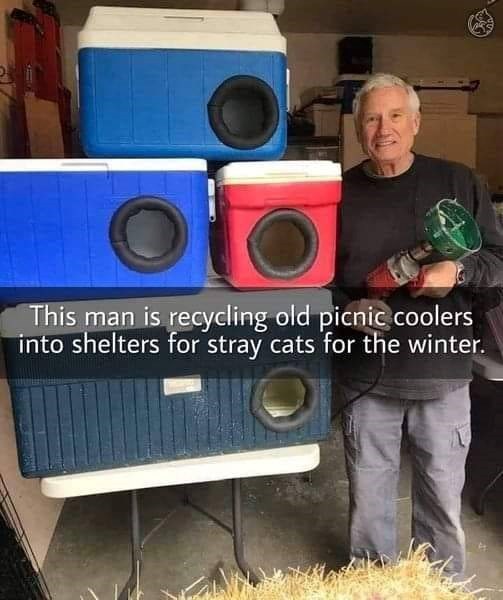 This man is recycling old picnic coolers into shelters for stray cats for the winter.