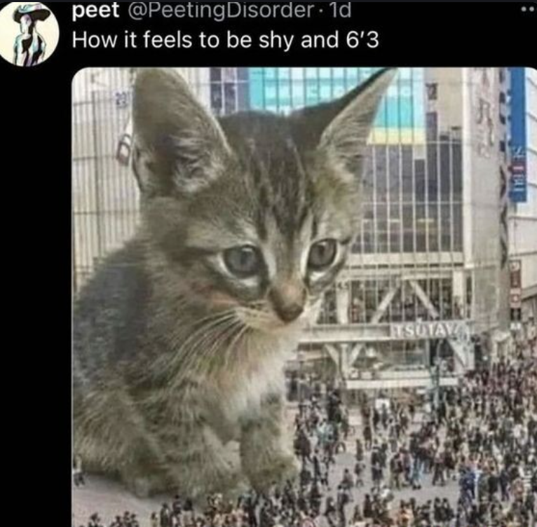 peet @Peeting Disorder. 1d How it feels to be shy and 6'3 SET BUT SUTAY