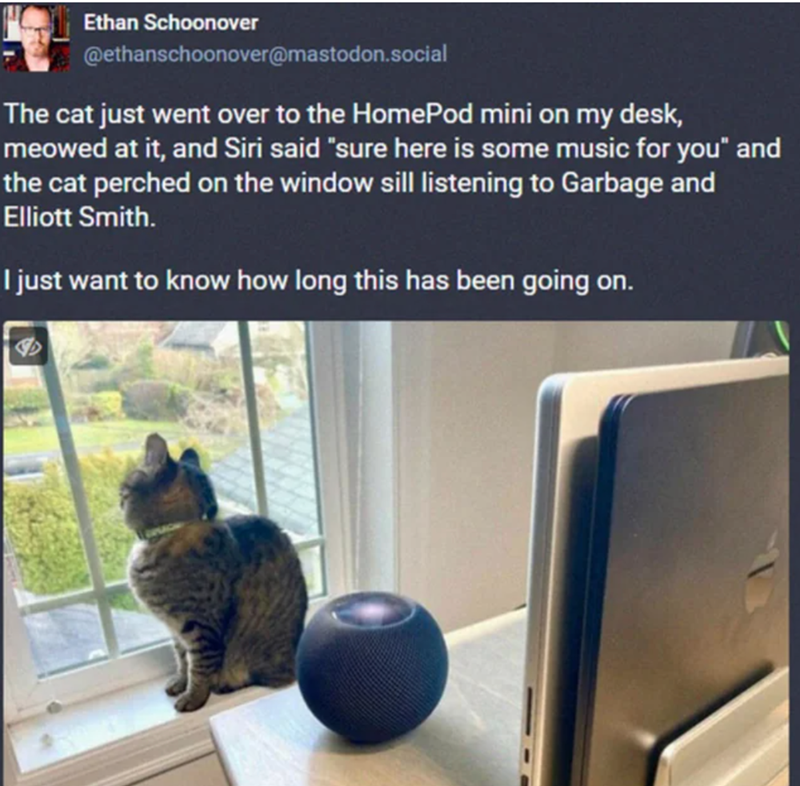 Ethan Schoonover @ethanschoonover@mastodon.social The cat just went over to the HomePod mini on my desk, meowed at it, and Siri said "sure here is some music for you" and the cat perched on the window sill listening to Garbage and Elliott Smith. I just want to know how long this has been going on.