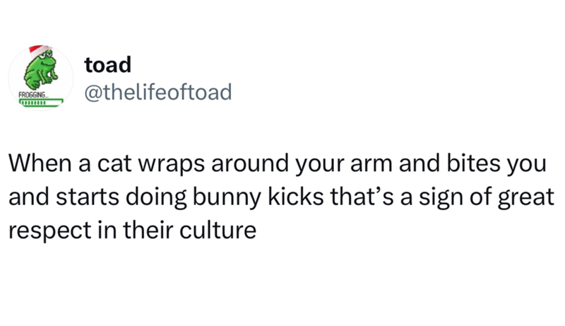FROGGING toad @thelifeoftoad When a cat wraps around your arm and bites you and starts doing bunny kicks that's a sign of great respect in their culture