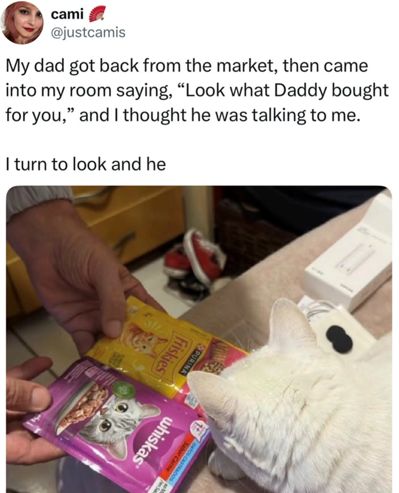 cami @justcamis My dad got back from the market, then came into my room saying, "Look what Daddy bought for you," and I thought he was talking to me. I turn to look and he Friskies PURINA Sabor Carne GATOS CASTRADOS whiskas en Sa