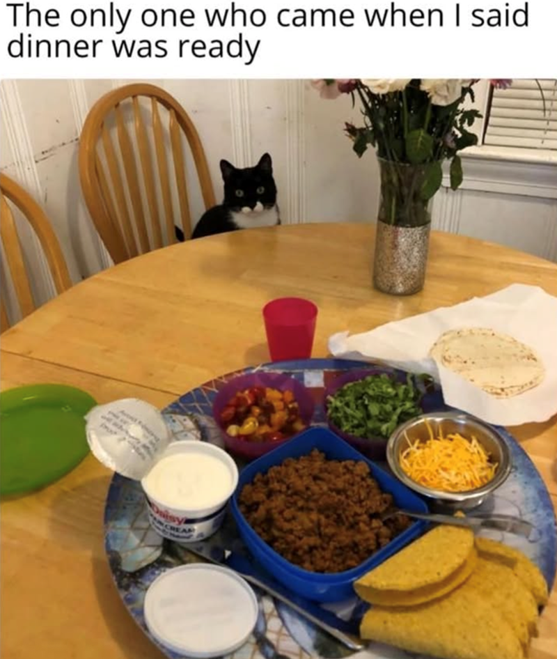 The only one who came when I said dinner was ready