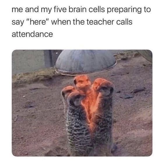 me and my five brain cells preparing to say "here" when the teacher calls attendance