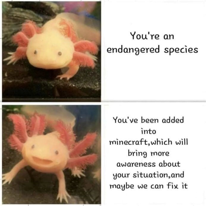 You're an endangered species You've been added into minecraft, which will bring more awareness about your situation, and maybe we can fix it