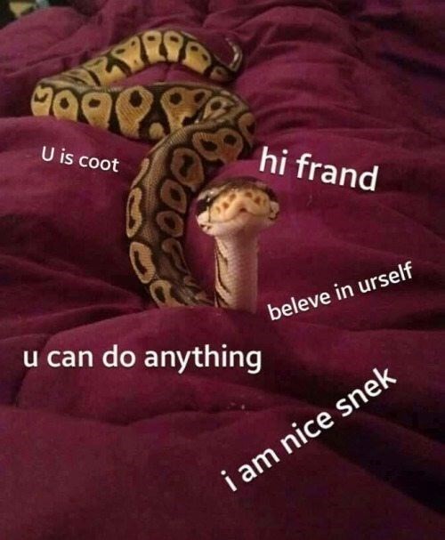 ૧૦૦ hi frand U is coot u can do anything beleve in urself i am nice snek
