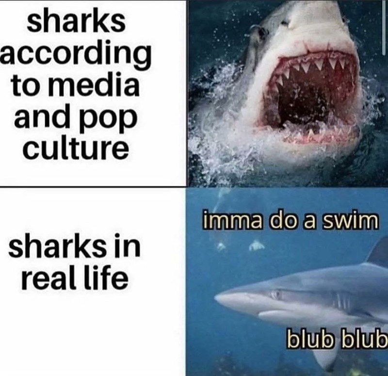 sharks according to media and pop culture imma do a swim sharks in real life blub blub