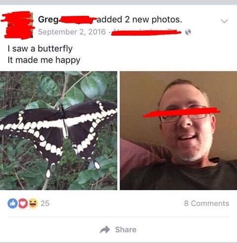 added 2 new photos. Greg September 2, 2016. I saw a butterfly It made me happy 025 Share 8 Comments