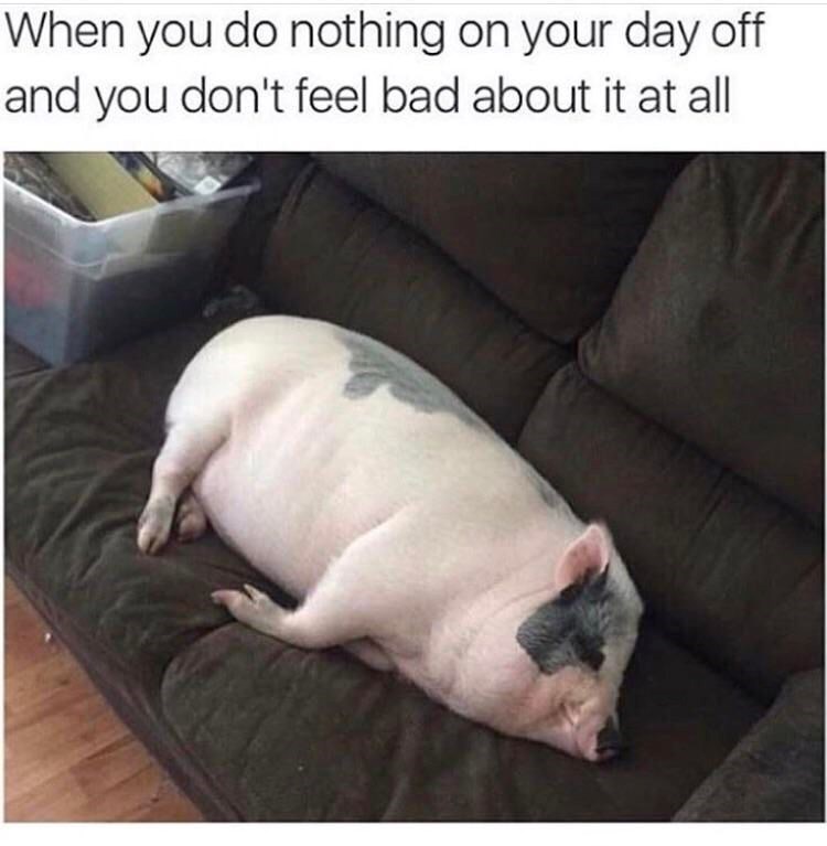When you do nothing on your day off and you don't feel bad about it at all