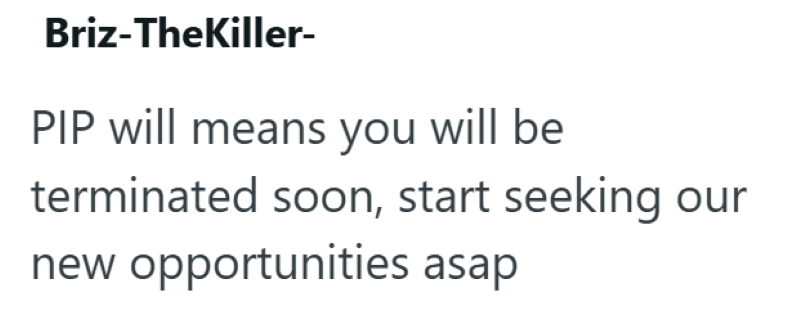Briz-TheKiller- PIP will means you will be terminated soon, start seeking new opportunities asap