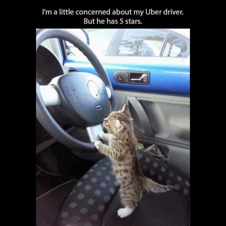 I'm a little concerned about my Uber driver. But he has 5 stars.