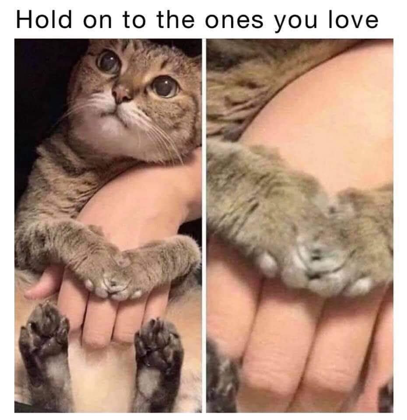 Hold on to the ones you love