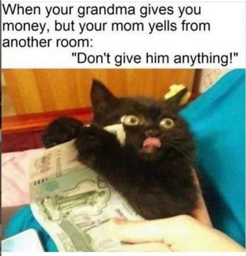 When your grandma gives you money, but your mom yells from another room: "Don't give him anything!"