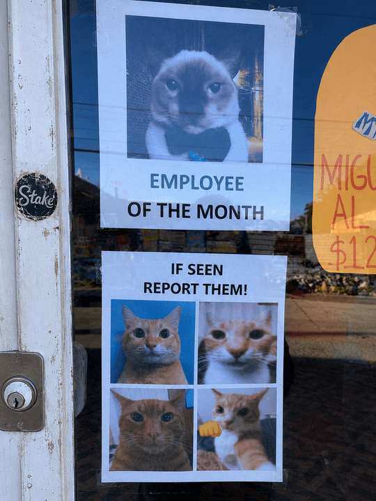 EMPLOYEE Stake OF THE MONTH IF SEEN REPORT THEM! MY MIGL AL $12