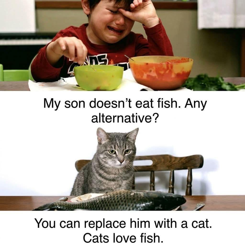 s My son doesn't eat fish. Any alternative? You can replace him with a cat. Cats love fish.